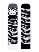 Lady Zebra